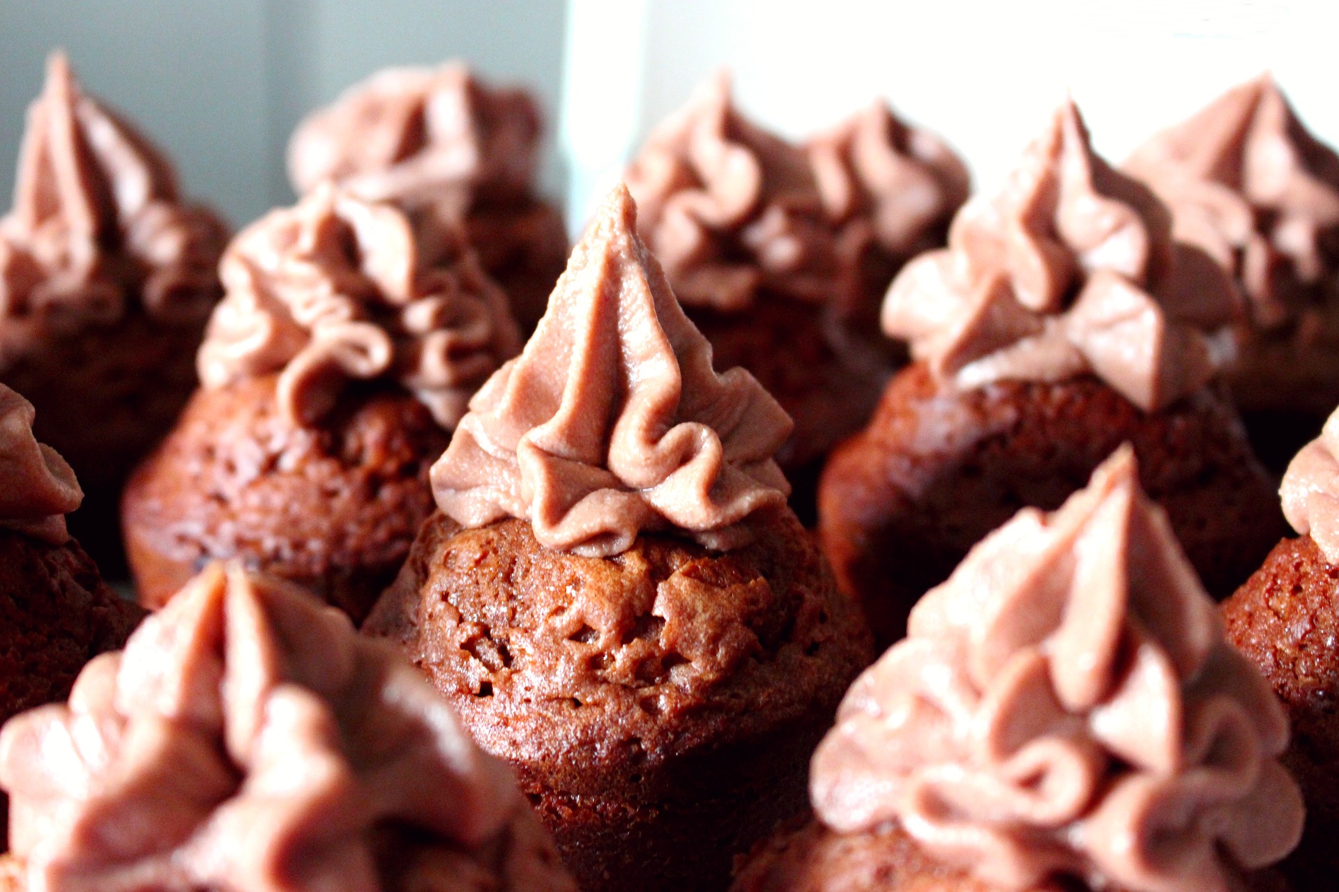 Schoko-Himbeer-Cupcakes