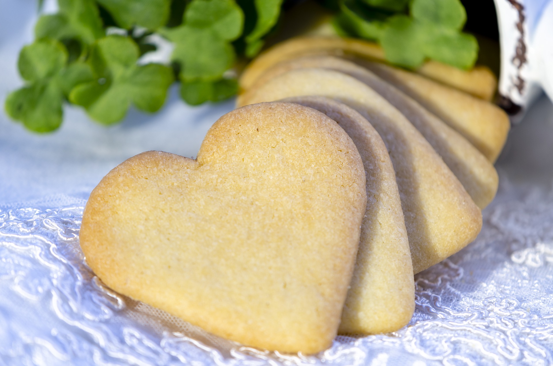 Schnelle Anis-Plätzchen - Alles über Backen